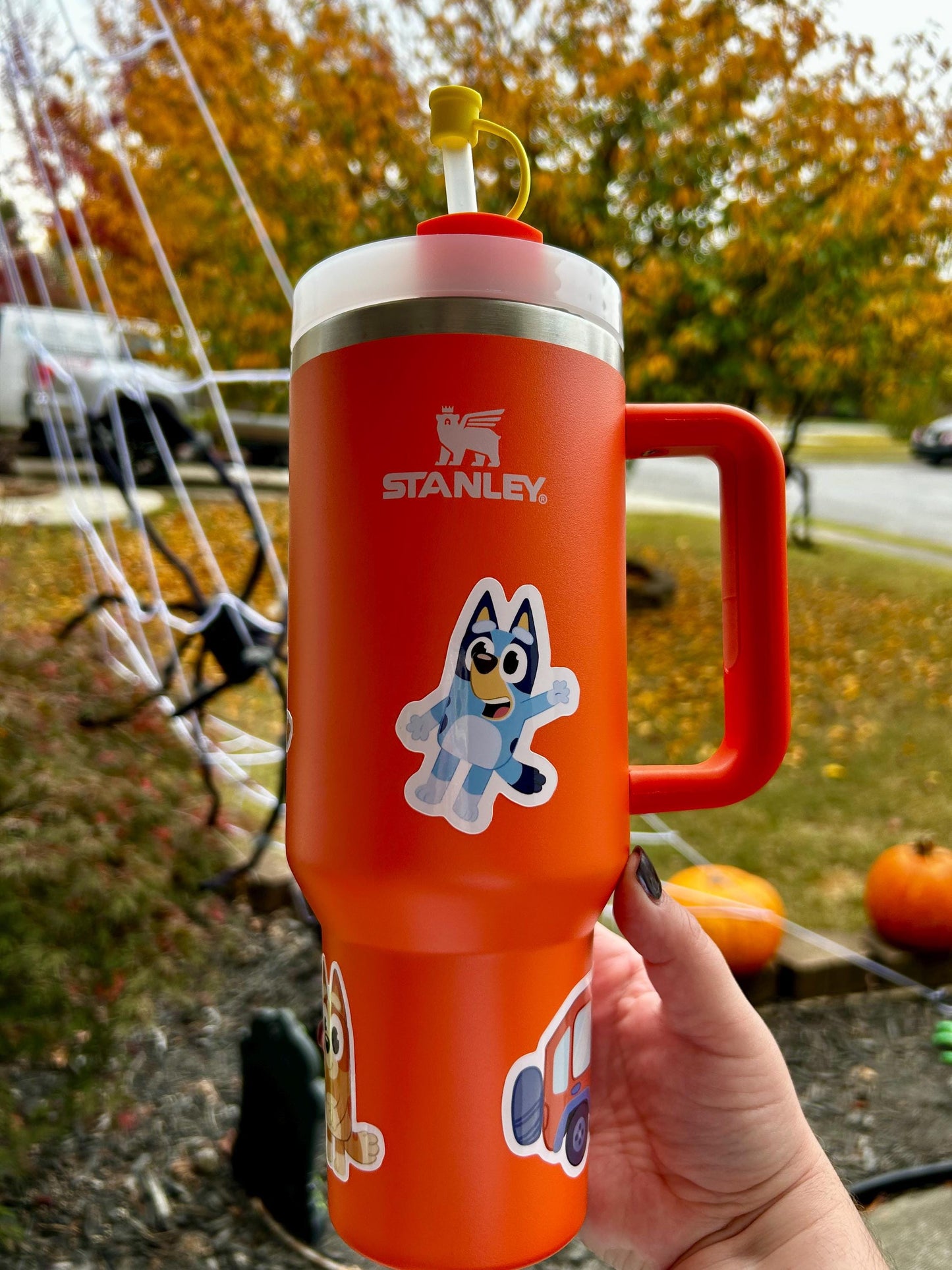 Personalized Bluey Tumbler Cup with Straw | Custom Kids Tumbler | Waterproof Tumbler Cup Gift