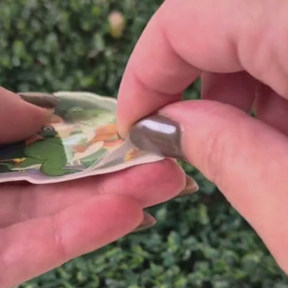 Toy Story Woody Featuring Rex Sticker - Waterproof Clear Glossy Effect